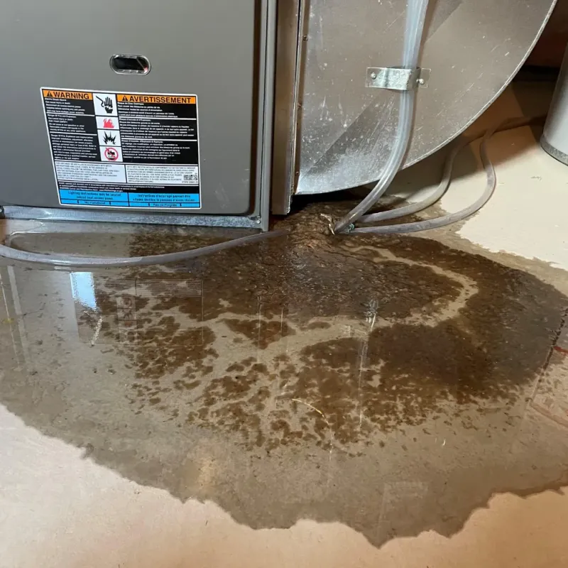 Appliance Leak Cleanup in Lamar, MO