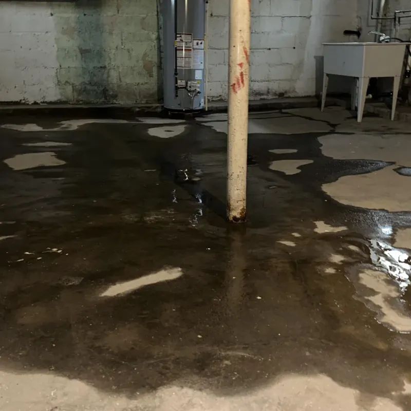 Emergency Water Extraction And Removal in Lamar, MO